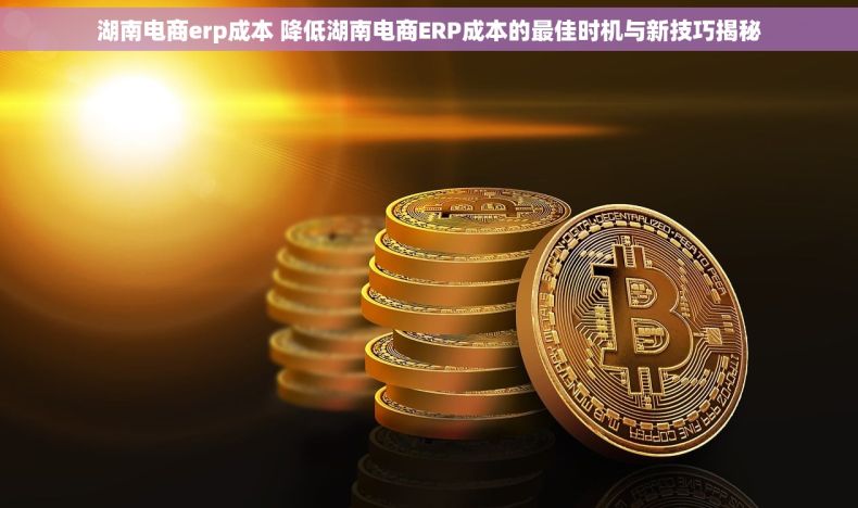 湖南电商erp成本 降低湖南电商ERP成本的最佳时机与新技巧揭秘