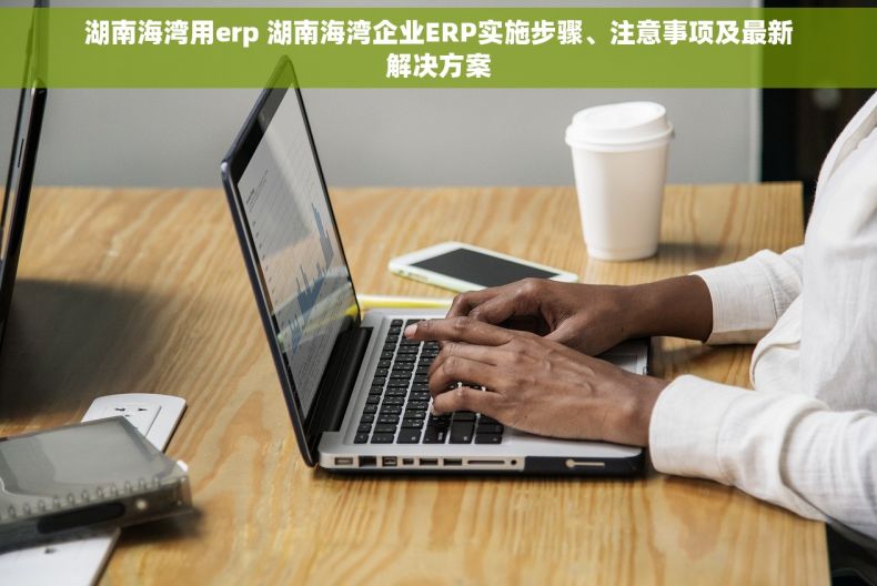 湖南海湾用erp 湖南海湾企业ERP实施步骤、注意事项及最新解决方案