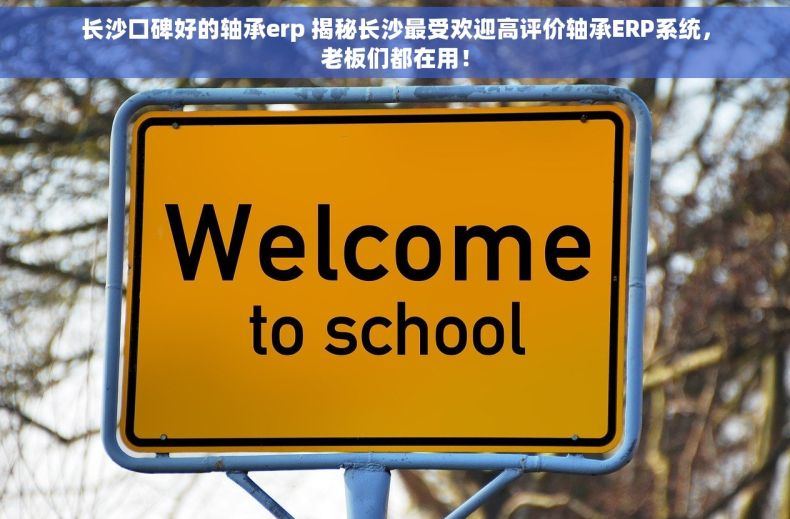 长沙口碑好的轴承erp 揭秘长沙最受欢迎高评价轴承ERP系统，老板们都在用！
