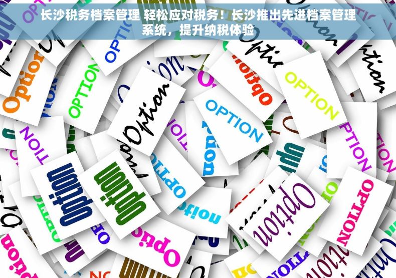 长沙税务档案管理 轻松应对税务！长沙推出先进档案管理系统，提升纳税体验