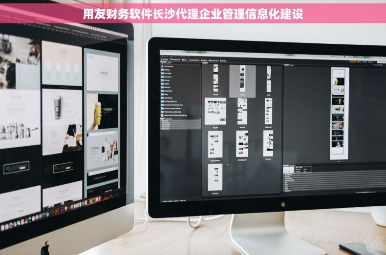 用友财务软件长沙代理企业管理信息化建设