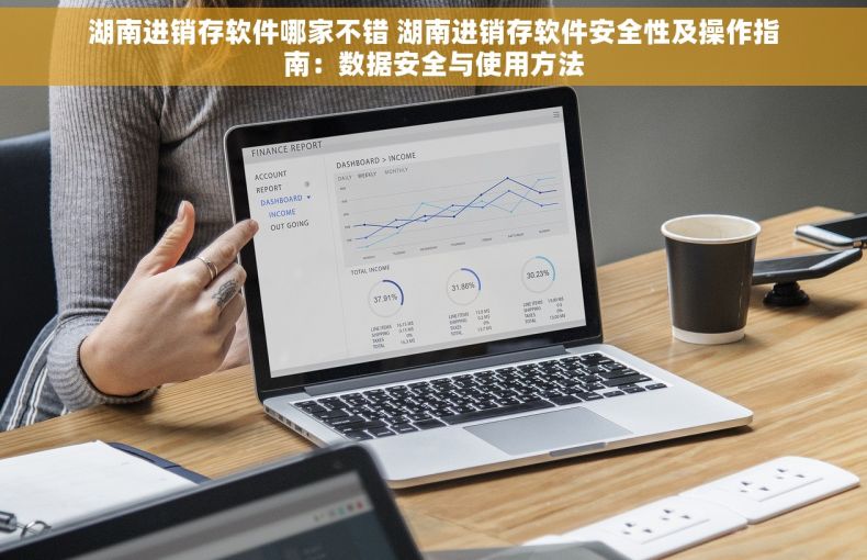 湖南进销存软件哪家不错 湖南进销存软件安全性及操作指南：数据安全与使用方法