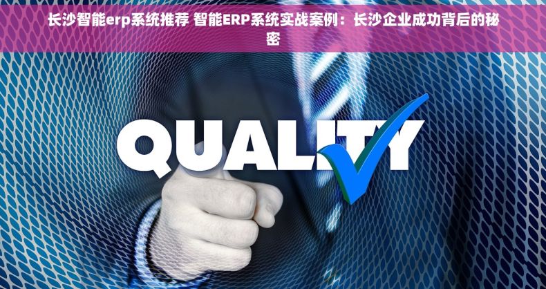 长沙智能erp系统推荐 智能ERP系统实战案例：长沙企业成功背后的秘密