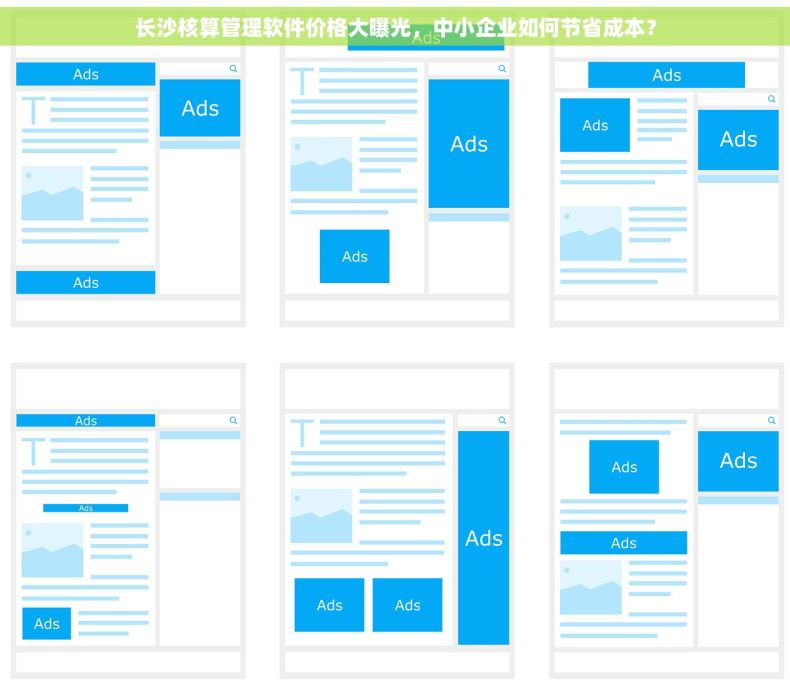 长沙核算管理软件价格大曝光，中小企业如何节省成本？