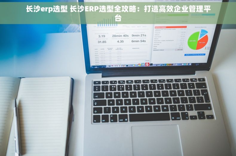 长沙erp选型 长沙ERP选型全攻略：打造高效企业管理平台
