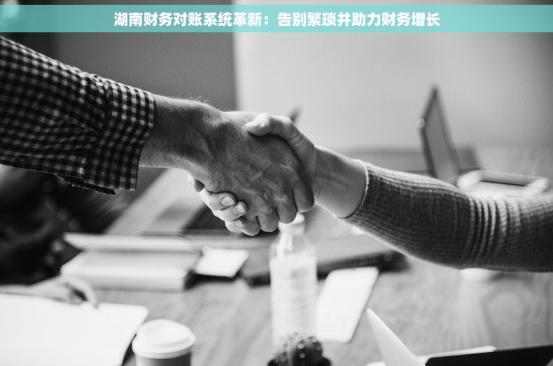 湖南财务对账系统革新：告别繁琐并助力财务增长