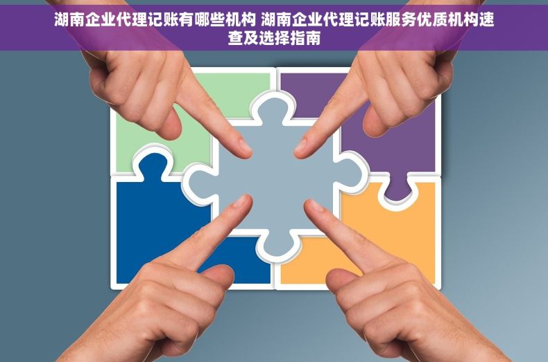 湖南企业代理记账有哪些机构 湖南企业代理记账服务优质机构速查及选择指南