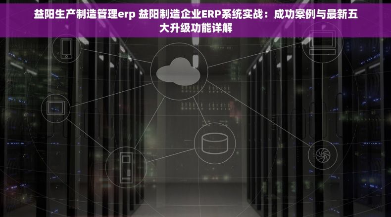 益阳生产制造管理erp 益阳制造企业ERP系统实战：成功案例与最新五大升级功能详解