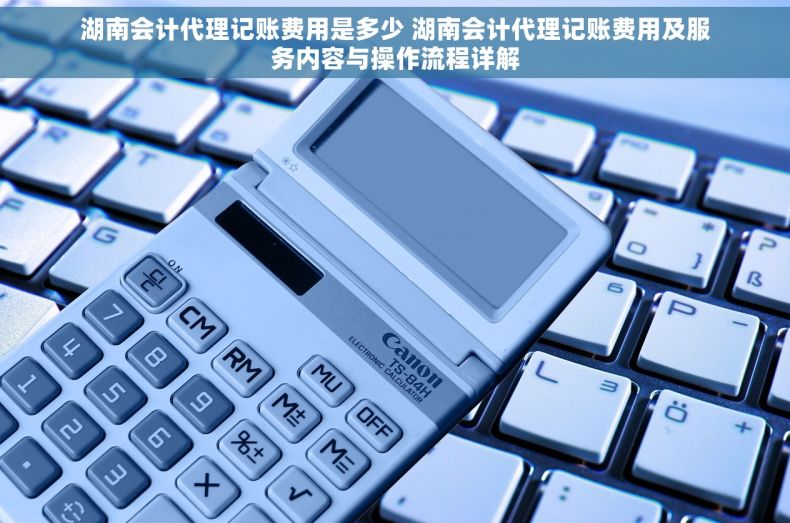 湖南会计代理记账费用是多少 湖南会计代理记账费用及服务内容与操作流程详解