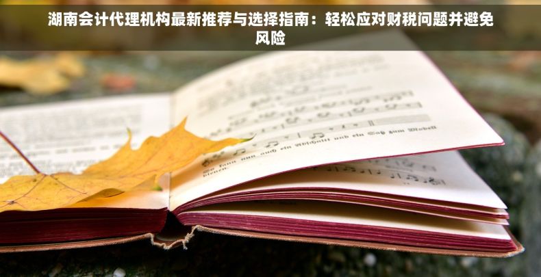 湖南会计代理机构最新推荐与选择指南：轻松应对财税问题并避免风险