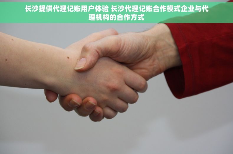 长沙提供代理记账用户体验 长沙代理记账合作模式企业与代理机构的合作方式