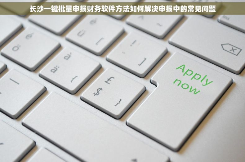 长沙一键批量申报财务软件方法如何解决申报中的常见问题