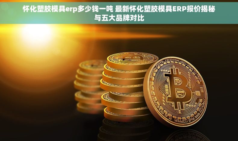 怀化塑胶模具erp多少钱一吨 最新怀化塑胶模具ERP报价揭秘与五大品牌对比