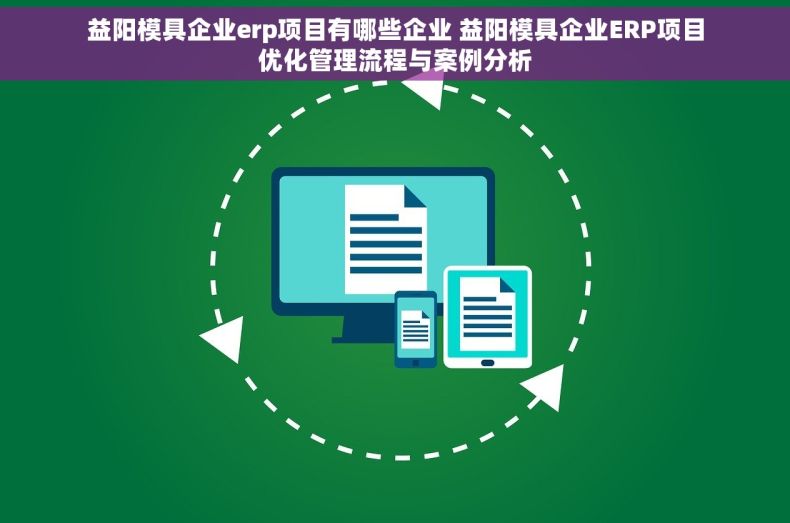益阳模具企业erp项目有哪些企业 益阳模具企业ERP项目优化管理流程与案例分析