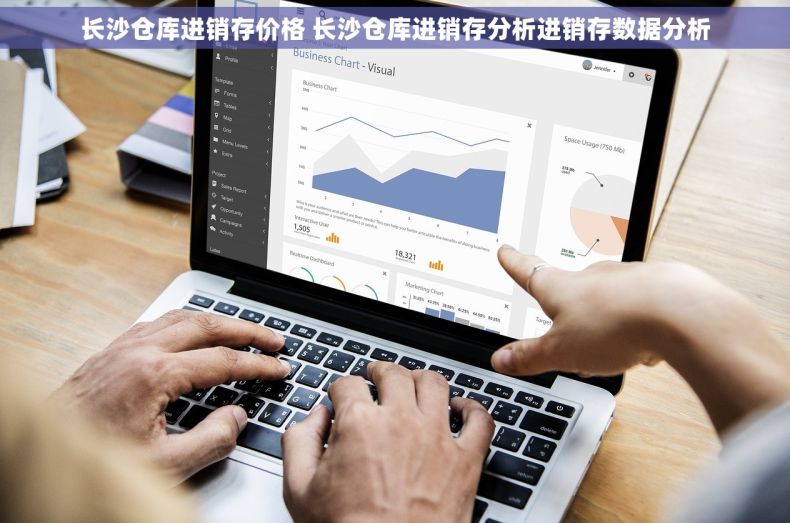 长沙仓库进销存价格 长沙仓库进销存分析进销存数据分析