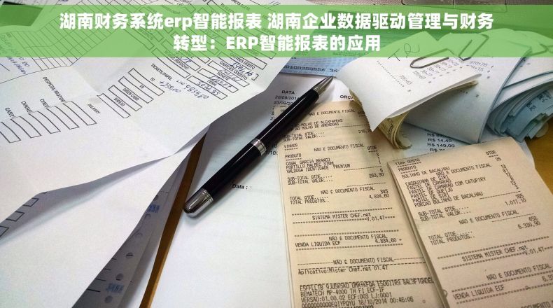 湖南财务系统erp智能报表 湖南企业数据驱动管理与财务转型：ERP智能报表的应用