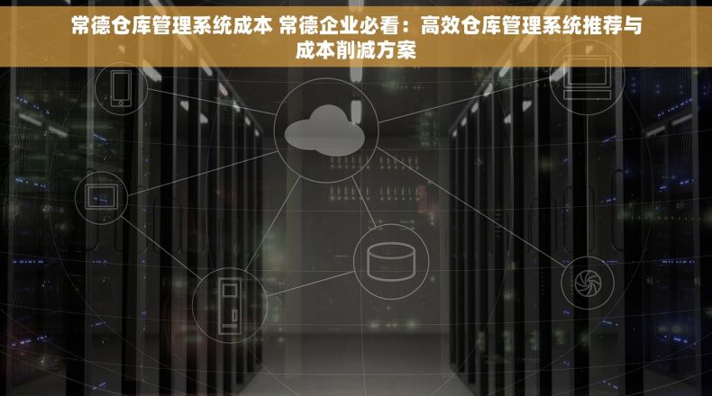 常德仓库管理系统成本 常德企业必看：高效仓库管理系统推荐与成本削减方案
