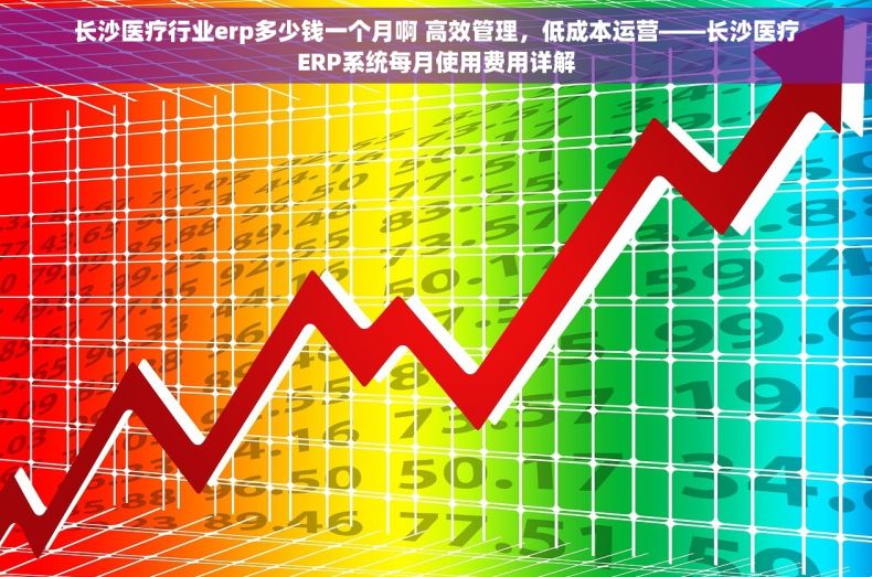 长沙医疗行业erp多少钱一个月啊 高效管理，低成本运营——长沙医疗ERP系统每月使用费用详解
