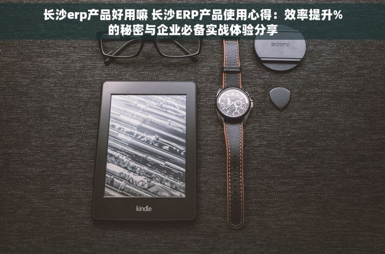 长沙erp产品好用嘛 长沙ERP产品使用心得：效率提升%的秘密与企业必备实战体验分享
