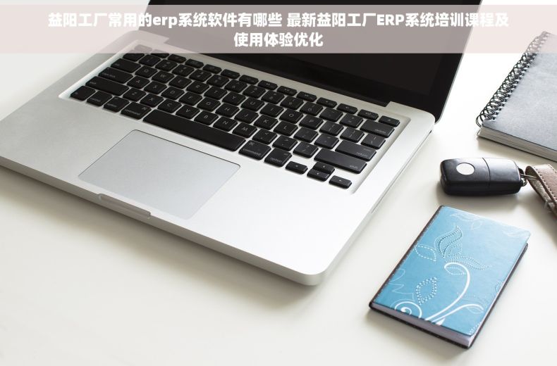 益阳工厂常用的erp系统软件有哪些 最新益阳工厂ERP系统培训课程及使用体验优化