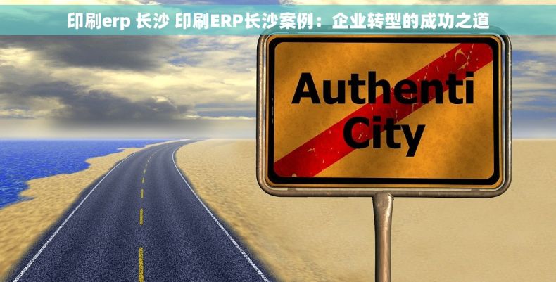 印刷erp 长沙 印刷ERP长沙案例：企业转型的成功之道
