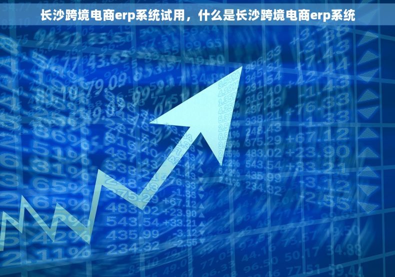 长沙跨境电商erp系统试用，什么是长沙跨境电商erp系统