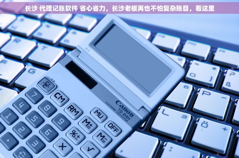 长沙 代理记账软件 省心省力，长沙老板再也不怕复杂账目，看这里