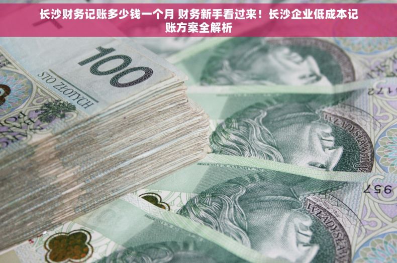 长沙财务记账多少钱一个月 财务新手看过来！长沙企业低成本记账方案全解析