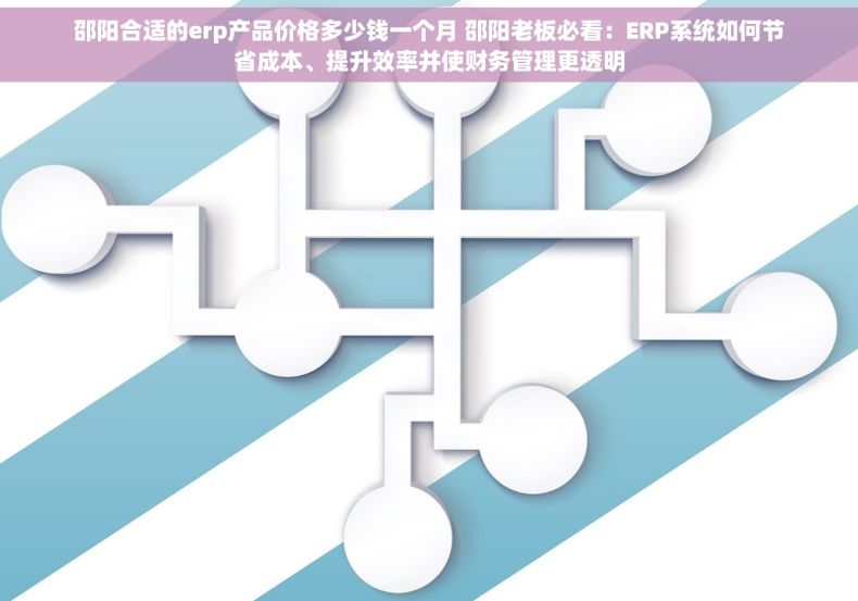 邵阳合适的erp产品价格多少钱一个月 邵阳老板必看：ERP系统如何节省成本、提升效率并使财务管理更透明