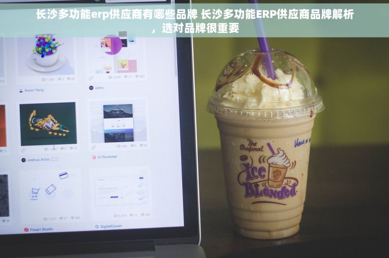 长沙多功能erp供应商有哪些品牌 长沙多功能ERP供应商品牌解析，选对品牌很重要