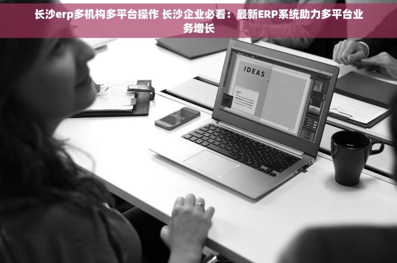 长沙erp多机构多平台操作 长沙企业必看：最新ERP系统助力多平台业务增长