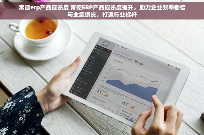 常德erp产品成熟度 常德ERP产品成熟度提升，助力企业效率翻倍与业绩增长，打造行业标杆