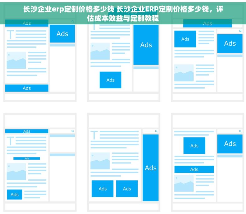 长沙企业erp定制价格多少钱 长沙企业ERP定制价格多少钱，评估成本效益与定制教程
