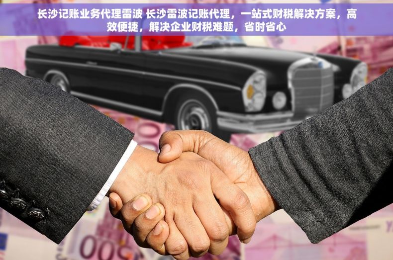 长沙记账业务代理雷波 长沙雷波记账代理，一站式财税解决方案，高效便捷，解决企业财税难题，省时省心