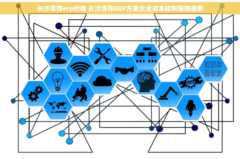长沙库存erp价格 长沙库存ERP方案企业成本控制策略最新
