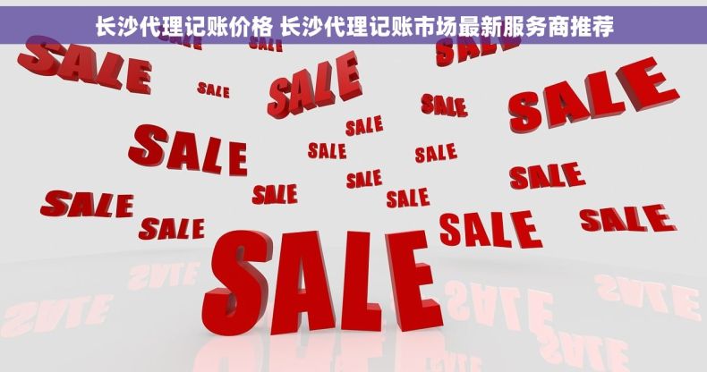 长沙代理记账价格 长沙代理记账市场最新服务商推荐