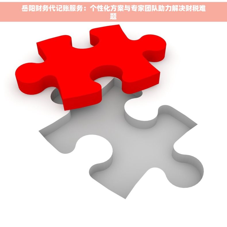 岳阳财务代记账服务：个性化方案与专家团队助力解决财税难题