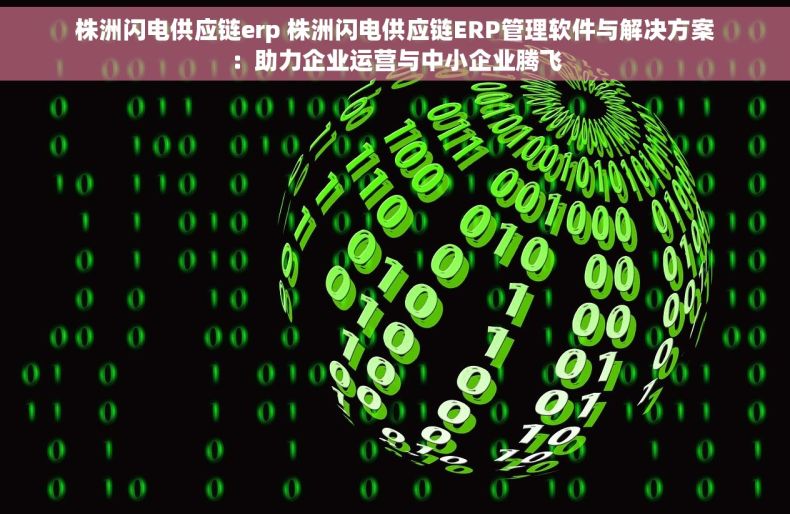 株洲闪电供应链erp 株洲闪电供应链ERP管理软件与解决方案：助力企业运营与中小企业腾飞