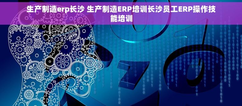 生产制造erp长沙 生产制造ERP培训长沙员工ERP操作技能培训