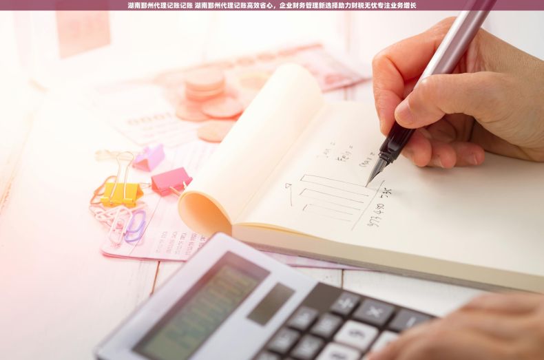 湖南鄞州代理记账记账 湖南鄞州代理记账高效省心，企业财务管理新选择助力财税无忧专注业务增长