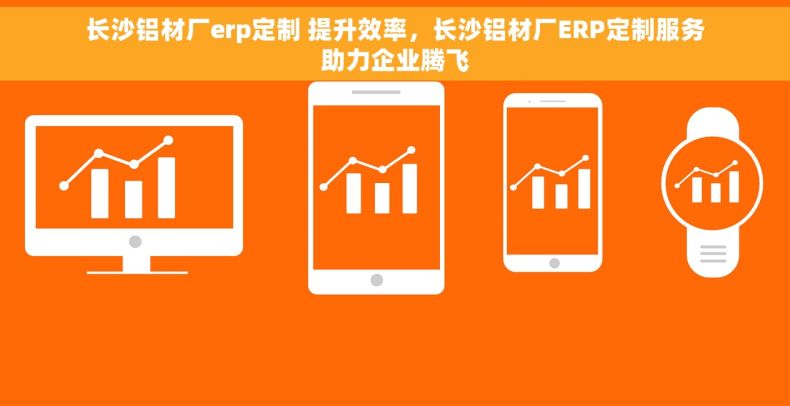 长沙铝材厂erp定制 提升效率，长沙铝材厂ERP定制服务助力企业腾飞