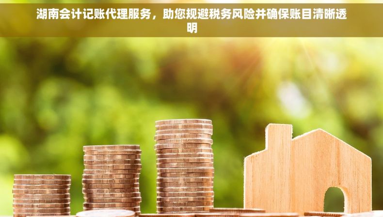 湖南会计记账代理服务，助您规避税务风险并确保账目清晰透明