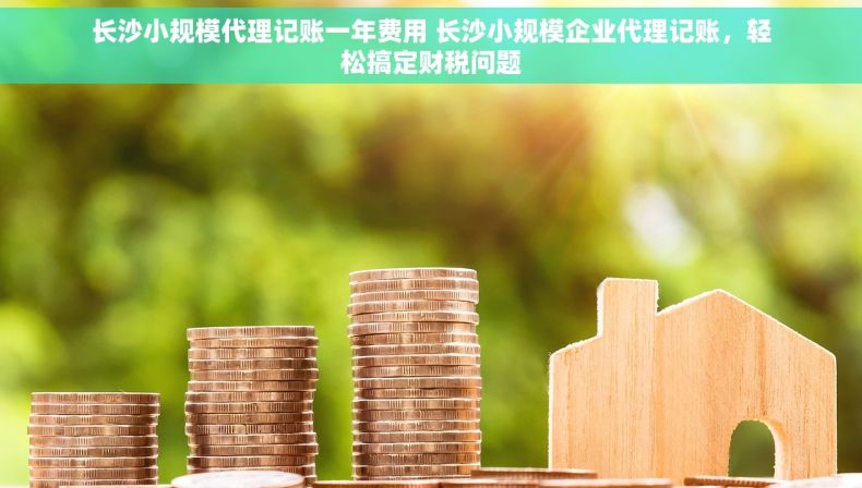 长沙小规模代理记账一年费用 长沙小规模企业代理记账，轻松搞定财税问题