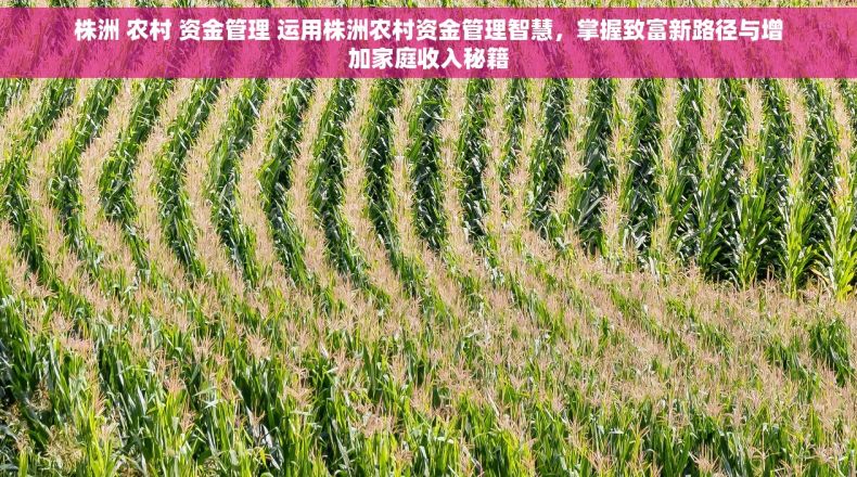 株洲 农村 资金管理 运用株洲农村资金管理智慧，掌握致富新路径与增加家庭收入秘籍