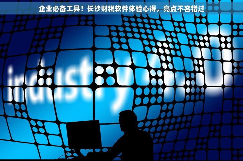 企业必备工具！长沙财税软件体验心得，亮点不容错过