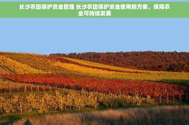 长沙农田保护资金管理 长沙农田保护资金使用新方案，保障农业可持续发展