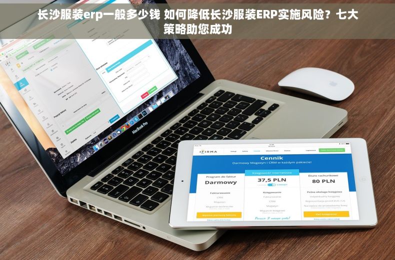 长沙服装erp一般多少钱 如何降低长沙服装ERP实施风险？七大策略助您成功