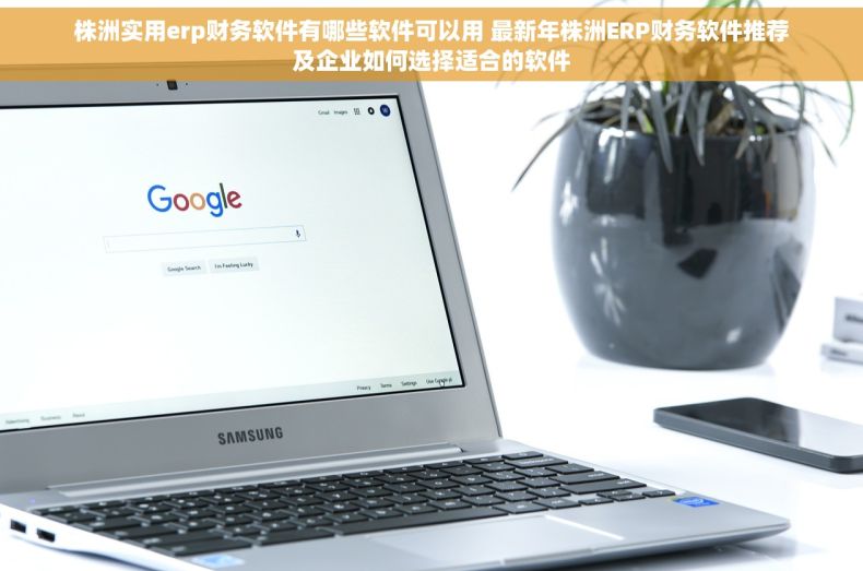 株洲实用erp财务软件有哪些软件可以用 最新年株洲ERP财务软件推荐及企业如何选择适合的软件