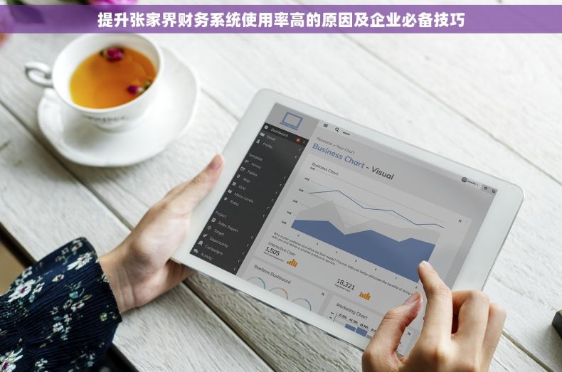 提升张家界财务系统使用率高的原因及企业必备技巧