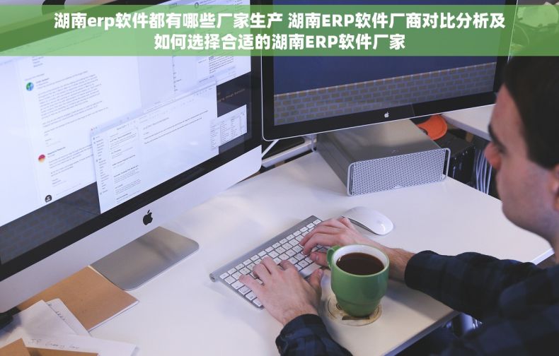 湖南erp软件都有哪些厂家生产 湖南ERP软件厂商对比分析及如何选择合适的湖南ERP软件厂家
